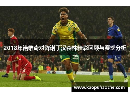 2018年诺维奇对阵诺丁汉森林精彩回顾与赛季分析